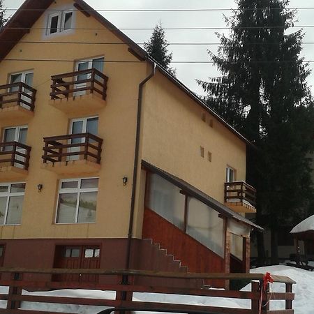 Casa Andreea-Maria Hotel Vârtop Buitenkant foto