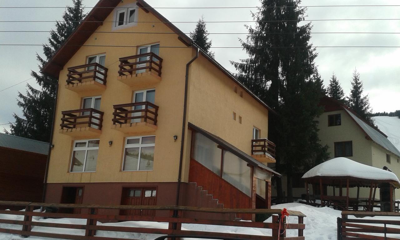 Casa Andreea-Maria Hotel Vârtop Buitenkant foto