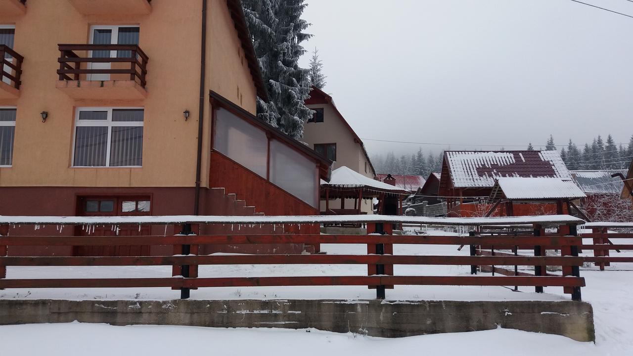 Casa Andreea-Maria Hotel Vârtop Buitenkant foto