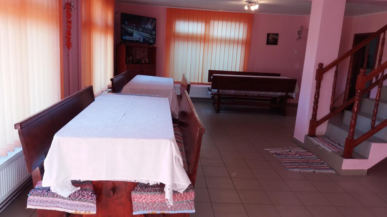 Casa Andreea-Maria Hotel Vârtop Buitenkant foto
