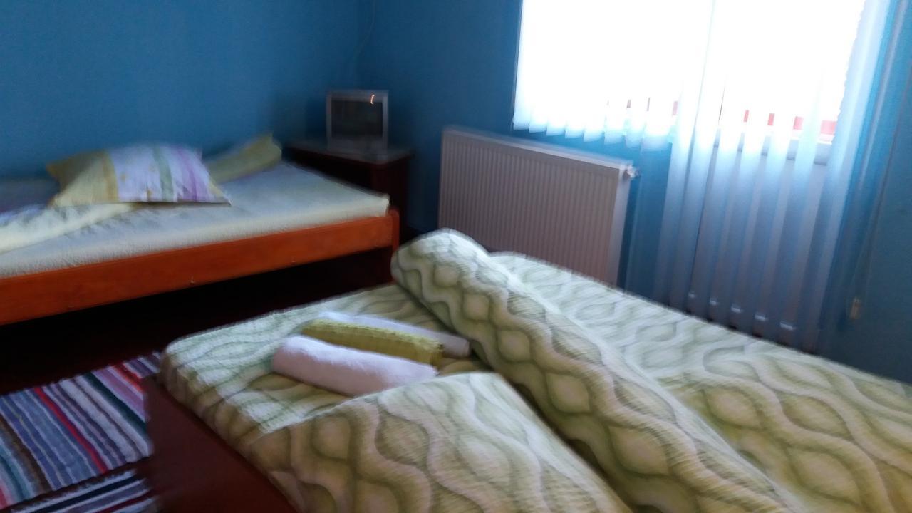 Casa Andreea-Maria Hotel Vârtop Buitenkant foto