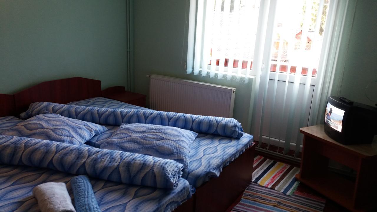 Casa Andreea-Maria Hotel Vârtop Buitenkant foto