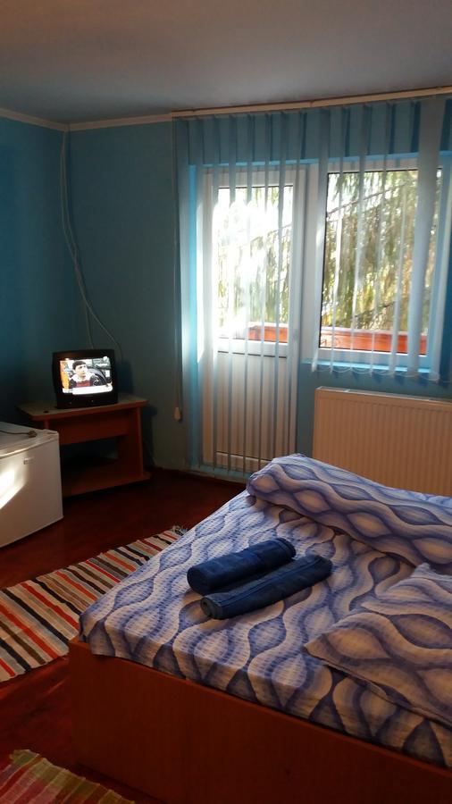 Casa Andreea-Maria Hotel Vârtop Buitenkant foto
