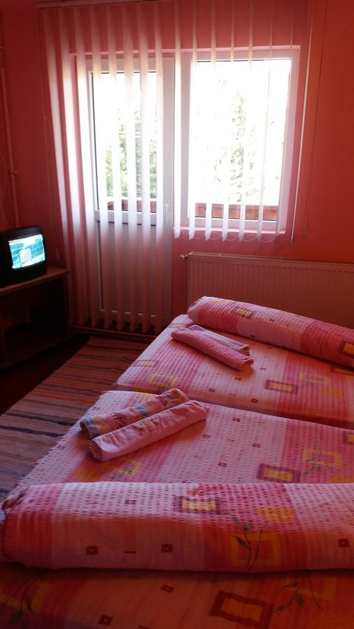 Casa Andreea-Maria Hotel Vârtop Buitenkant foto