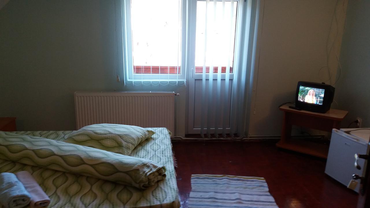 Casa Andreea-Maria Hotel Vârtop Buitenkant foto