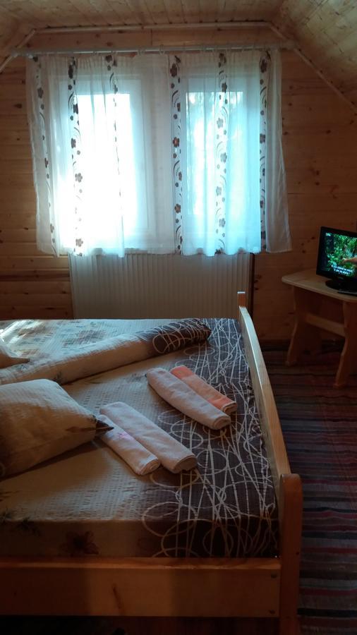 Casa Andreea-Maria Hotel Vârtop Buitenkant foto