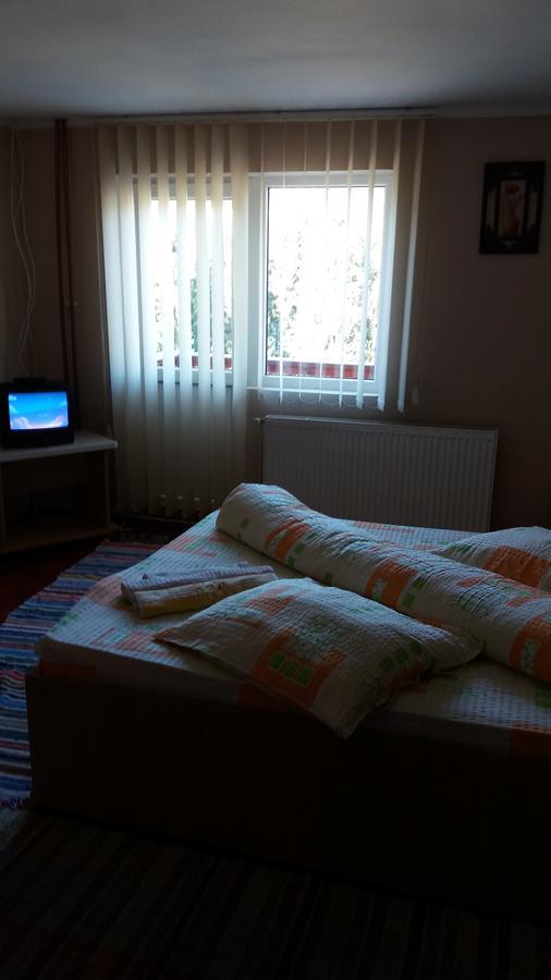 Casa Andreea-Maria Hotel Vârtop Buitenkant foto