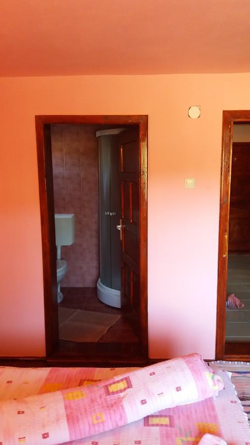 Casa Andreea-Maria Hotel Vârtop Buitenkant foto